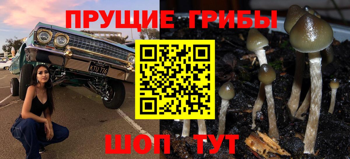 Псилоцибиновые грибы мицелий Вязьма